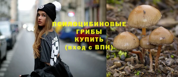 амф Балахна