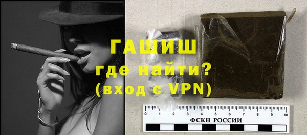 индика Нягань